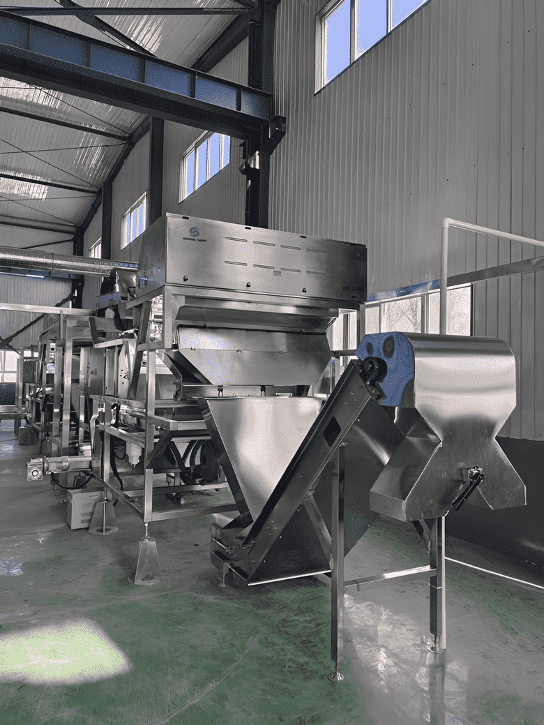 Pepper Processing Line in Henan